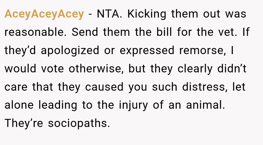 AceyAceyAcey − NTA. Kicking them out was reasonable. Send them the bill for the vet. If they’d apologized or expressed remorse, I would vote otherwise, but they clearly didn’t care that they caused you such distress, let alone leading to the injury of an animal. They’re sociopaths.