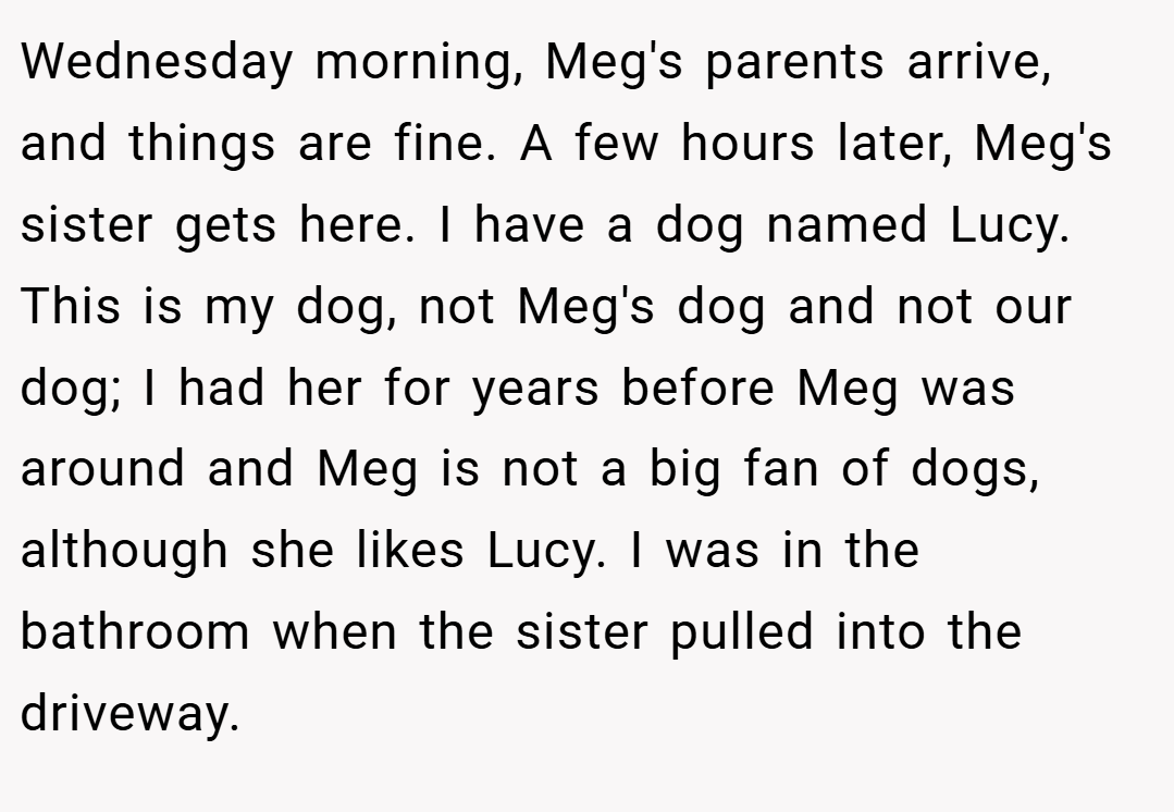 Wednesday morning, Meg's parents arrive, and things are fine. A few hours later, Meg's sister gets here. I have a dog named Lucy. This is my dog, not Meg's dog and not our dog; I had her for years before Meg was around and Meg is not a big fan of dogs, although she likes Lucy. I was in the bathroom when the sister pulled into the driveway.
