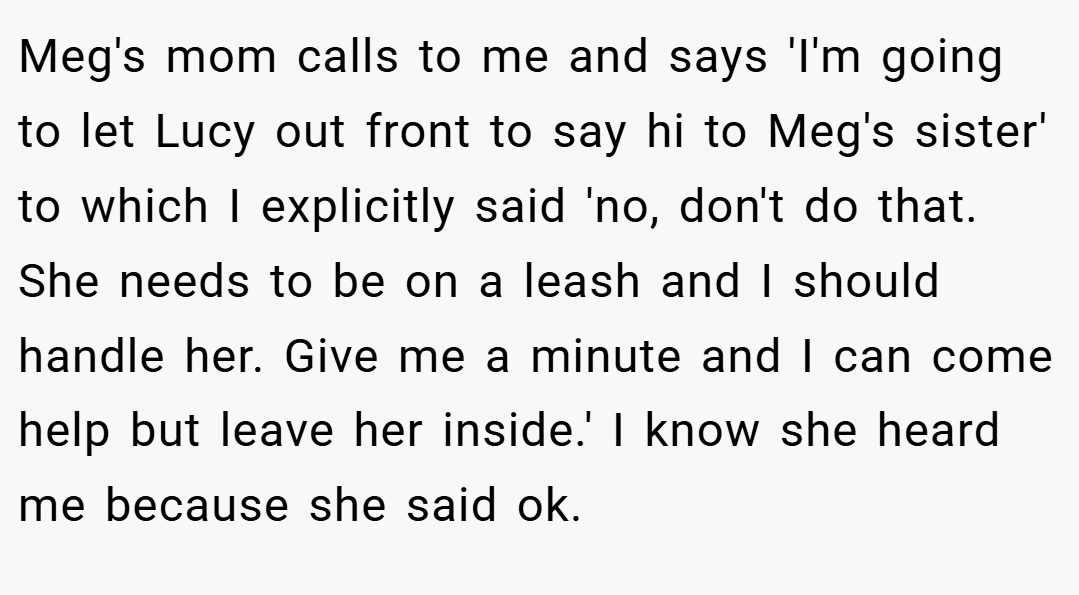 Meg's mom calls to me and says 'I'm going to let Lucy out front to say hi to Meg's sister' to which I explicitly said 'no, don't do that. She needs to be on a leash and I should handle her. Give me a minute and I can come help but leave her inside.' I know she heard me because she said ok.