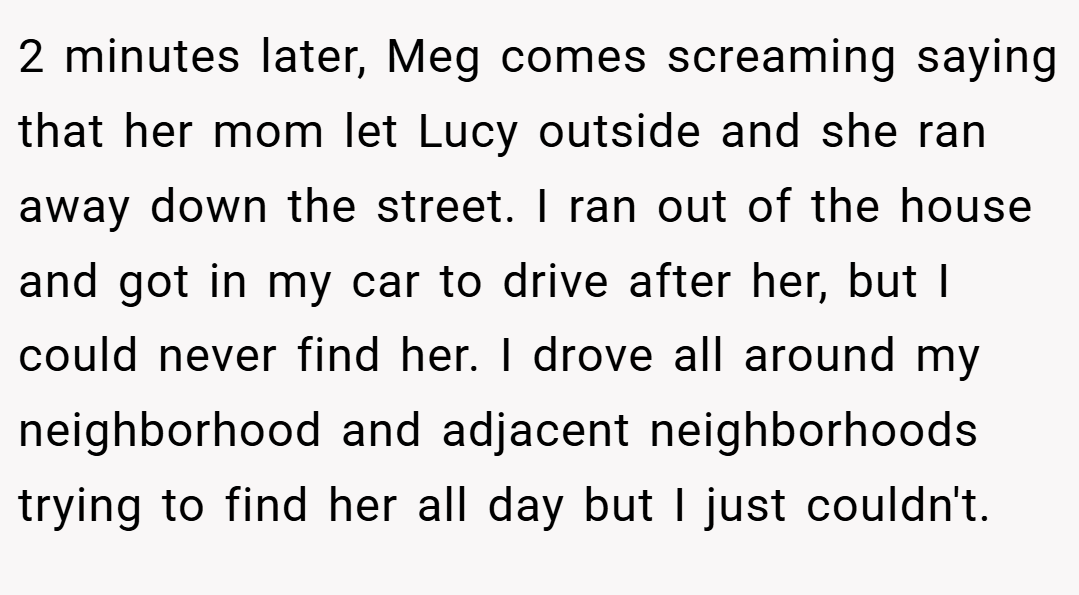 2 minutes later, Meg comes screaming saying that her mom let Lucy outside and she ran away down the street. I ran out of the house and got in my car to drive after her, but I could never find her. I drove all around my neighborhood and adjacent neighborhoods trying to find her all day but I just couldn't.
