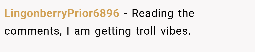 LingonberryPrior6896 − Reading the comments, I am getting troll vibes.