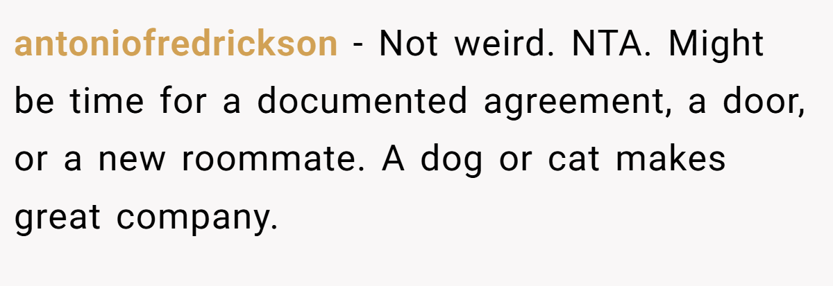 antoniofredrickson − Not weird. NTA. Might be time for a documented agreement, a door, or a new roommate. A dog or cat makes great company.