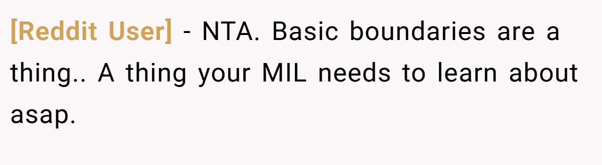 [Reddit User] - NTA. Basic boundaries are a thing.. A thing your MIL needs to learn about asap.