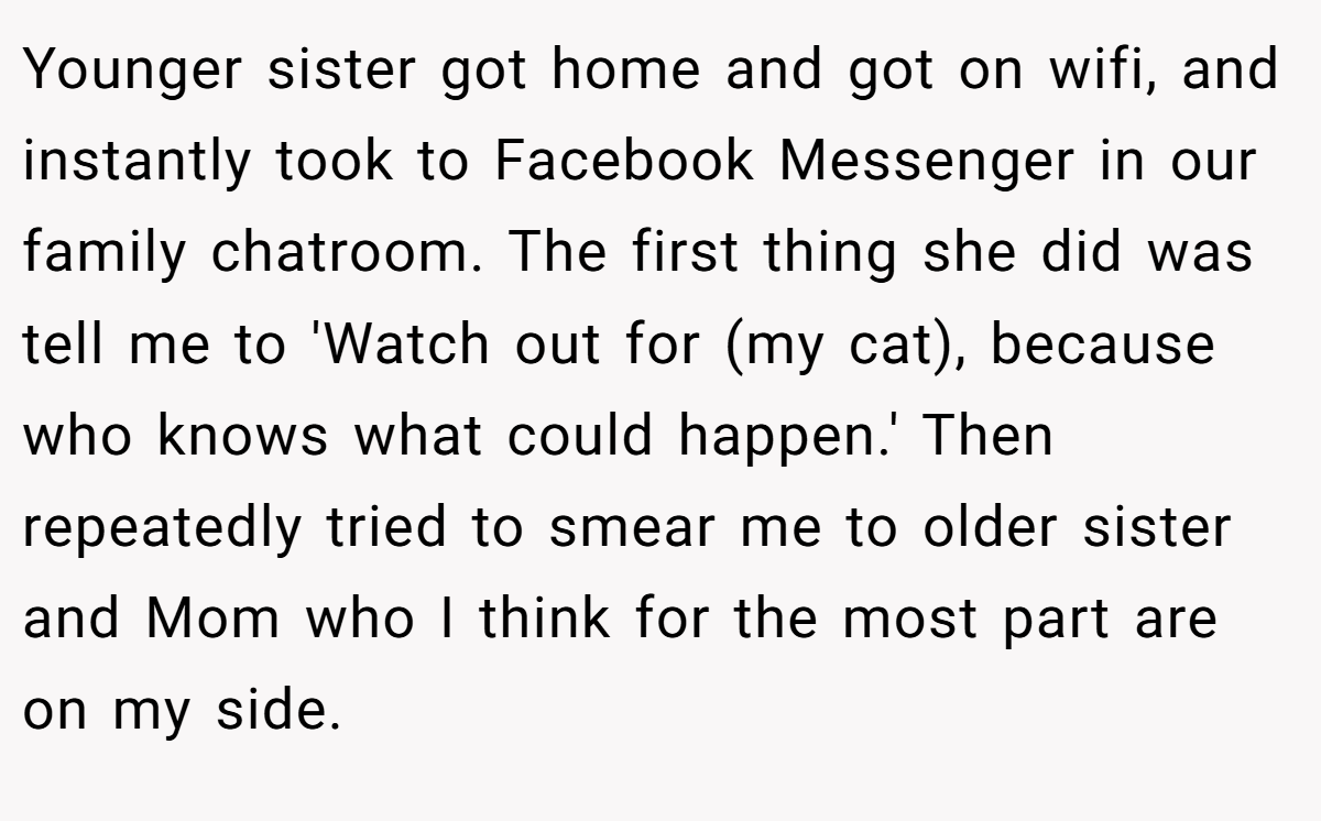 Younger sister got home and got on wifi, and instantly took to Facebook Messenger in our family chatroom. The first thing she did was tell me to 'Watch out for (my cat), because who knows what could happen.' Then repeatedly tried to smear me to older sister and Mom who I think for the most part are on my side.