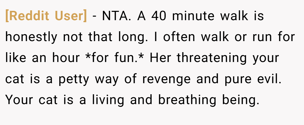[Reddit User] − NTA. A 40 minute walk is honestly not that long. I often walk or run for like an hour *for fun.* Her threatening your cat is a petty way of revenge and pure evil. Your cat is a living and breathing being.