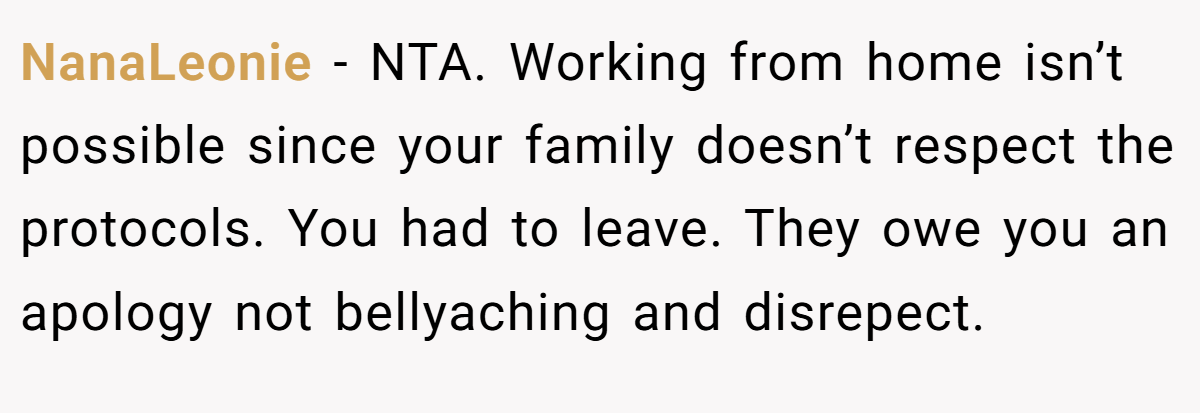 NanaLeonie − NTA. Working from home isn’t possible since your family doesn’t respect the protocols. You had to leave. They owe you an apology not bellyaching and disrepect.