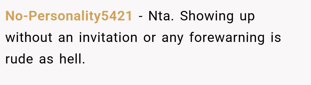 No-Personality5421 − Nta. Showing up without an invitation or any forewarning is rude as hell.
