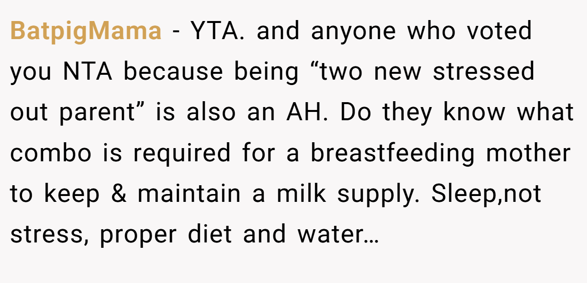 BatpigMama − YTA. and anyone who voted you NTA because being “two new stressed out parent” is also an AH. Do they know what combo is required for a breastfeeding mother to keep & maintain a milk supply. Sleep,not stress, proper diet and water…