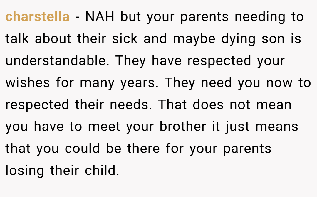 charstella − NAH but your parents needing to talk about their sick and maybe dying son is understandable. They have respected your wishes for many years. They need you now to respected their needs. That does not mean you have to meet your brother it just means that you could be there for your parents losing their child.