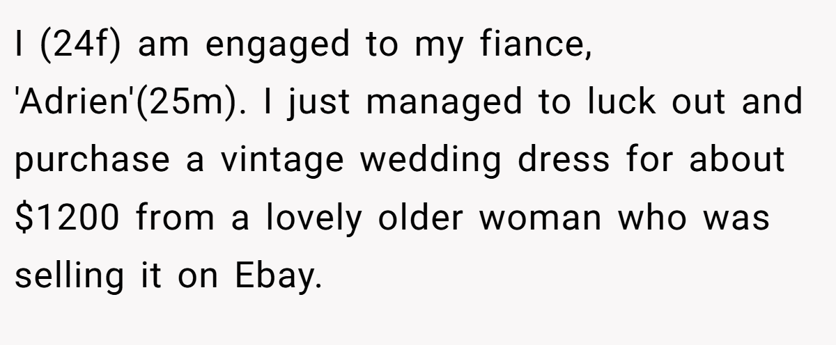 I (24f) am engaged to my fiance, 'Adrien'(25m). I just managed to luck out and purchase a vintage wedding dress for about $1200 from a lovely older woman who was selling it on Ebay.