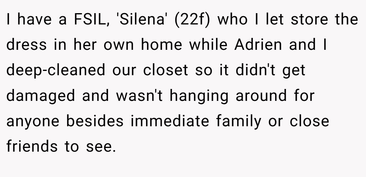 I have a FSIL, 'Silena' (22f) who I let store the dress in her own home while Adrien and I deep-cleaned our closet so it didn't get damaged and wasn't hanging around for anyone besides immediate family or close friends to see.