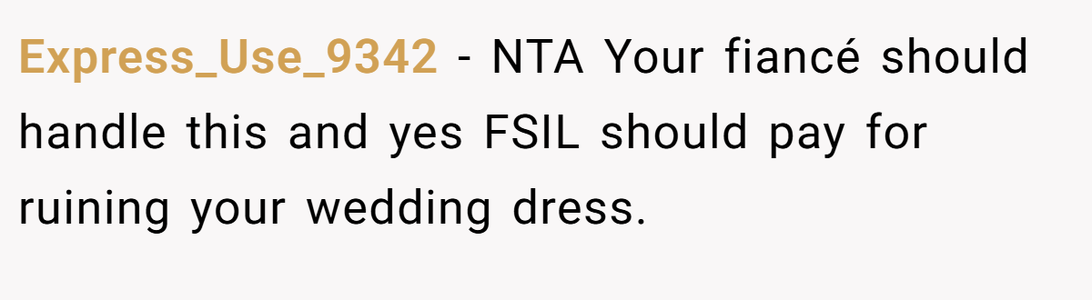 Express_Use_9342 − NTA Your fiancé should handle this and yes FSIL should pay for ruining your wedding dress.