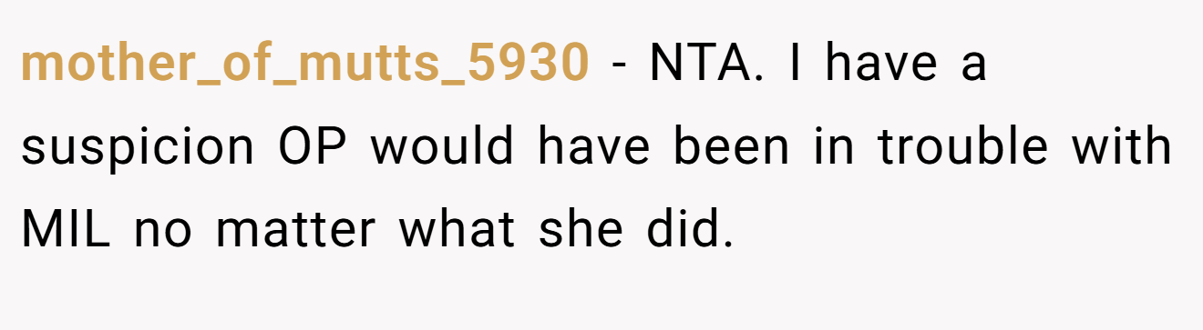 mother_of_mutts_5930 − NTA. I have a suspicion OP would have been in trouble with MIL no matter what she did.