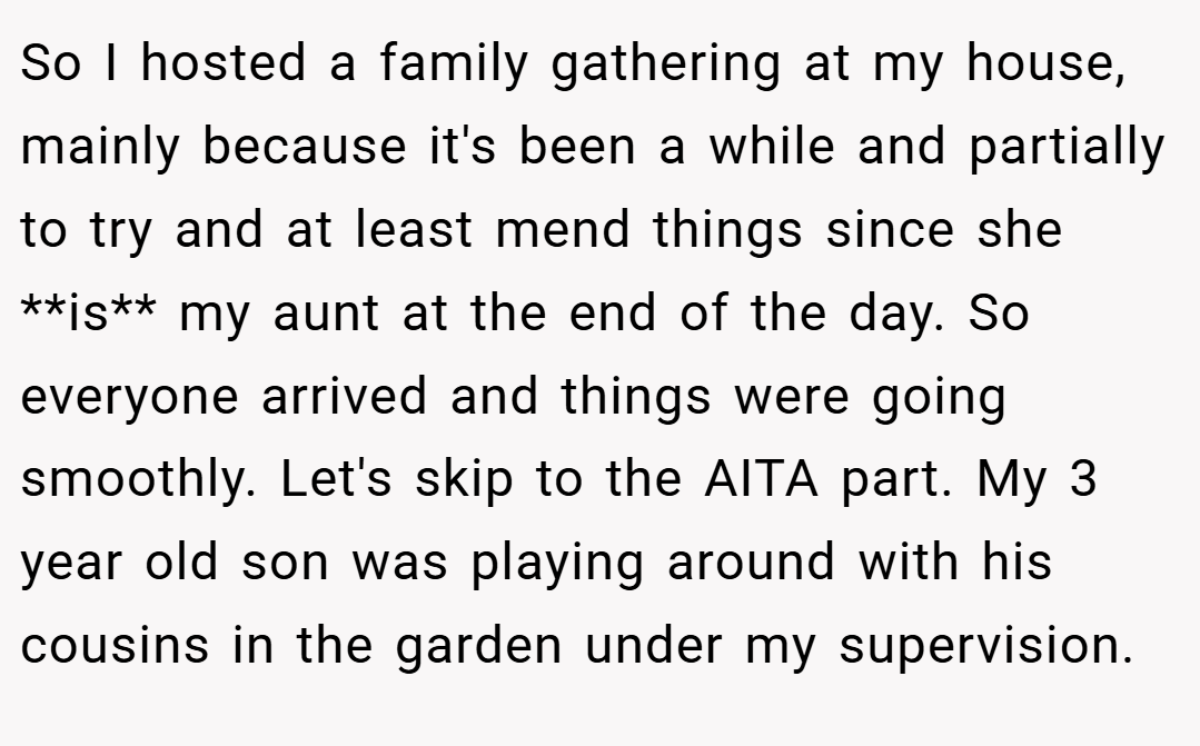 So I hosted a family gathering at my house, mainly because it's been a while and partially to try and at least mend things since she **is** my aunt at the end of the day. So everyone arrived and things were going smoothly. Let's skip to the AITA part. My 3 year old son was playing around with his cousins in the garden under my supervision.