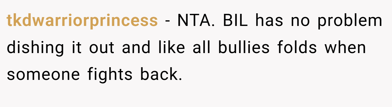 tkdwarriorprincess - NTA. BIL has no problem dishing it out and like all bullies folds when someone fights back.