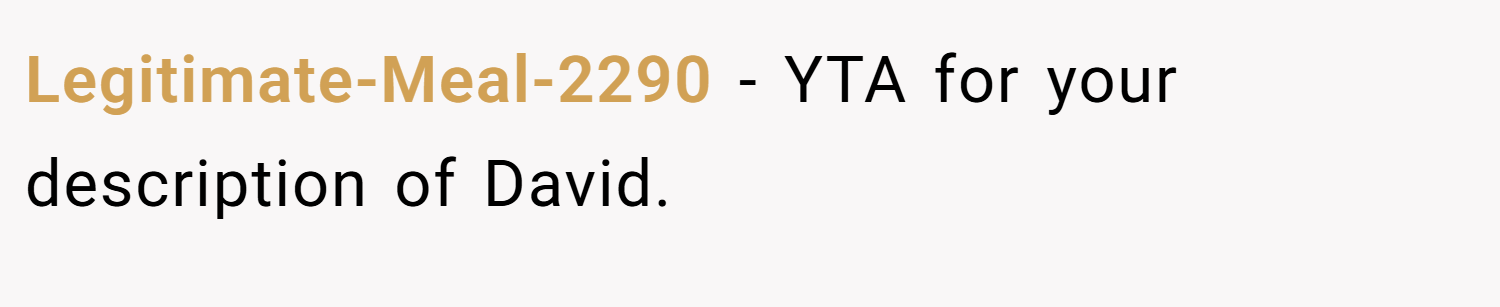 Legitimate-Meal-2290 − YTA for your description of David.
