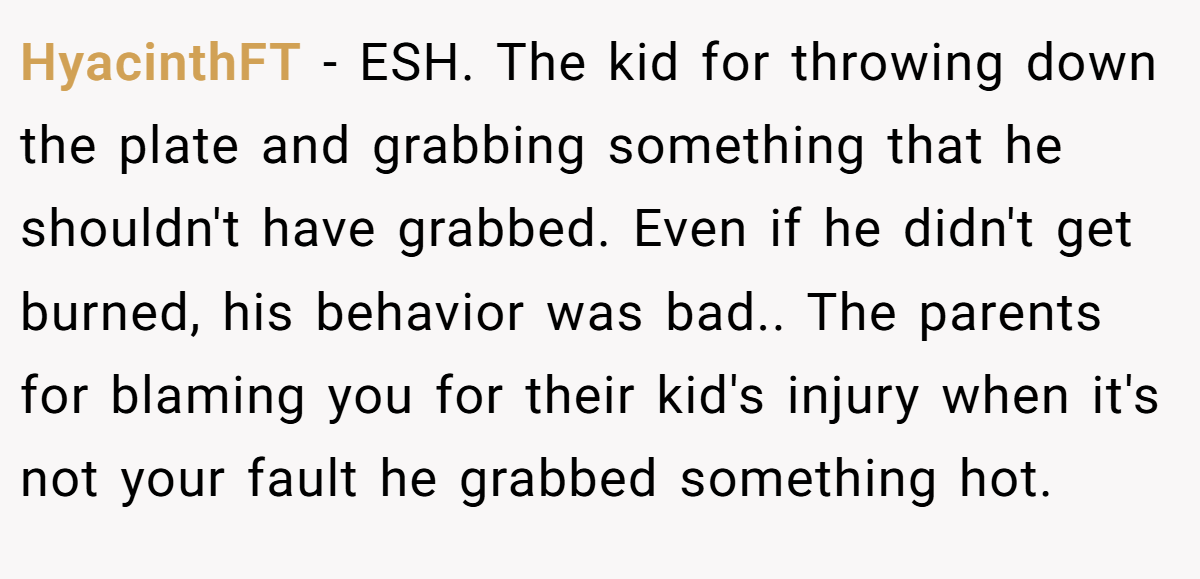 HyacinthFT − ESH. The kid for throwing down the plate and grabbing something that he shouldn't have grabbed. Even if he didn't get burned, his behavior was bad.. The parents for blaming you for their kid's injury when it's not your fault he grabbed something hot.