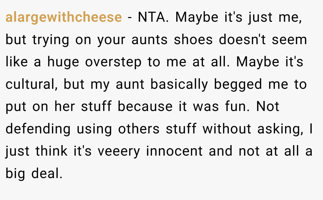 alargewithcheese - NTA. Maybe it's just me, but trying on your aunts shoes doesn't seem like a huge overstep to me at all. Maybe it's cultural, but my aunt basically begged me to put on her stuff because it was fun. Not defending using others stuff without asking, I just think it's veeery innocent and not at all a big deal.