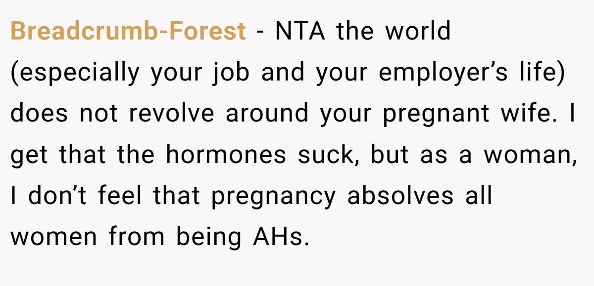 Breadcrumb-Forest − NTA the world (especially your job and your employer’s life) does not revolve around your pregnant wife. I get that the hormones suck, but as a woman, I don’t feel that pregnancy absolves all women from being AHs.