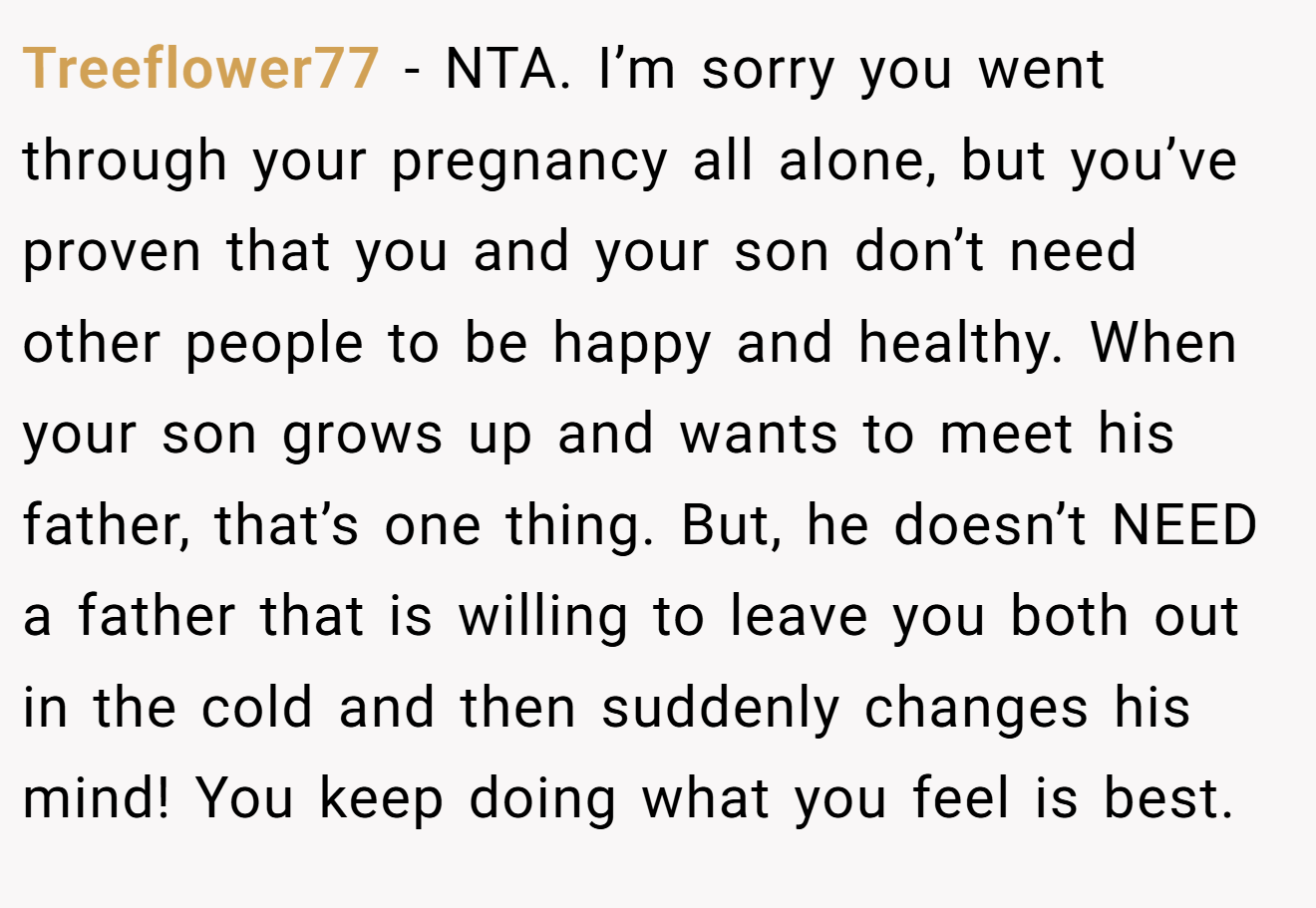 Treeflower77 - NTA. I’m sorry you went through your pregnancy all alone, but you’ve proven that you and your son don’t need other people to be happy and healthy. When your son grows up and wants to meet his father, that’s one thing. But, he doesn’t NEED a father that is willing to leave you both out in the cold and then suddenly changes his mind! You keep doing what you feel is best.