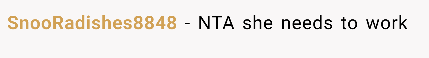 SnooRadishes8848 − NTA she needs to work