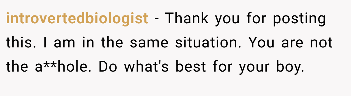 introvertedbiologist − Thank you for posting this. I am in the same situation. You are not the a**hole. Do what's best for your boy.