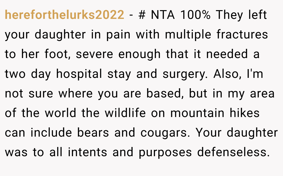 hereforthelurks2022 - # NTA 100% They left your daughter in pain with multiple fractures to her foot, severe enough that it needed a two day hospital stay and surgery. Also, I'm not sure where you are based, but in my area of the world the wildlife on mountain hikes can include bears and cougars. Your daughter was to all intents and purposes defenseless.