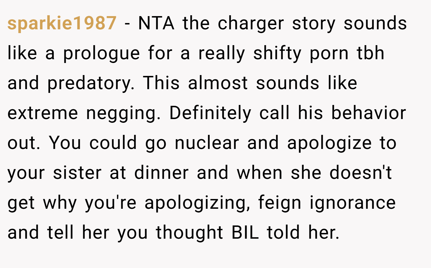 sparkie1987 − NTA the charger story sounds like a prologue for a really shifty porn tbh and predatory. This almost sounds like extreme negging. Definitely call his behavior out. You could go nuclear and apologize to your sister at dinner and when she doesn't get why you're apologizing, feign ignorance and tell her you thought BIL told her.