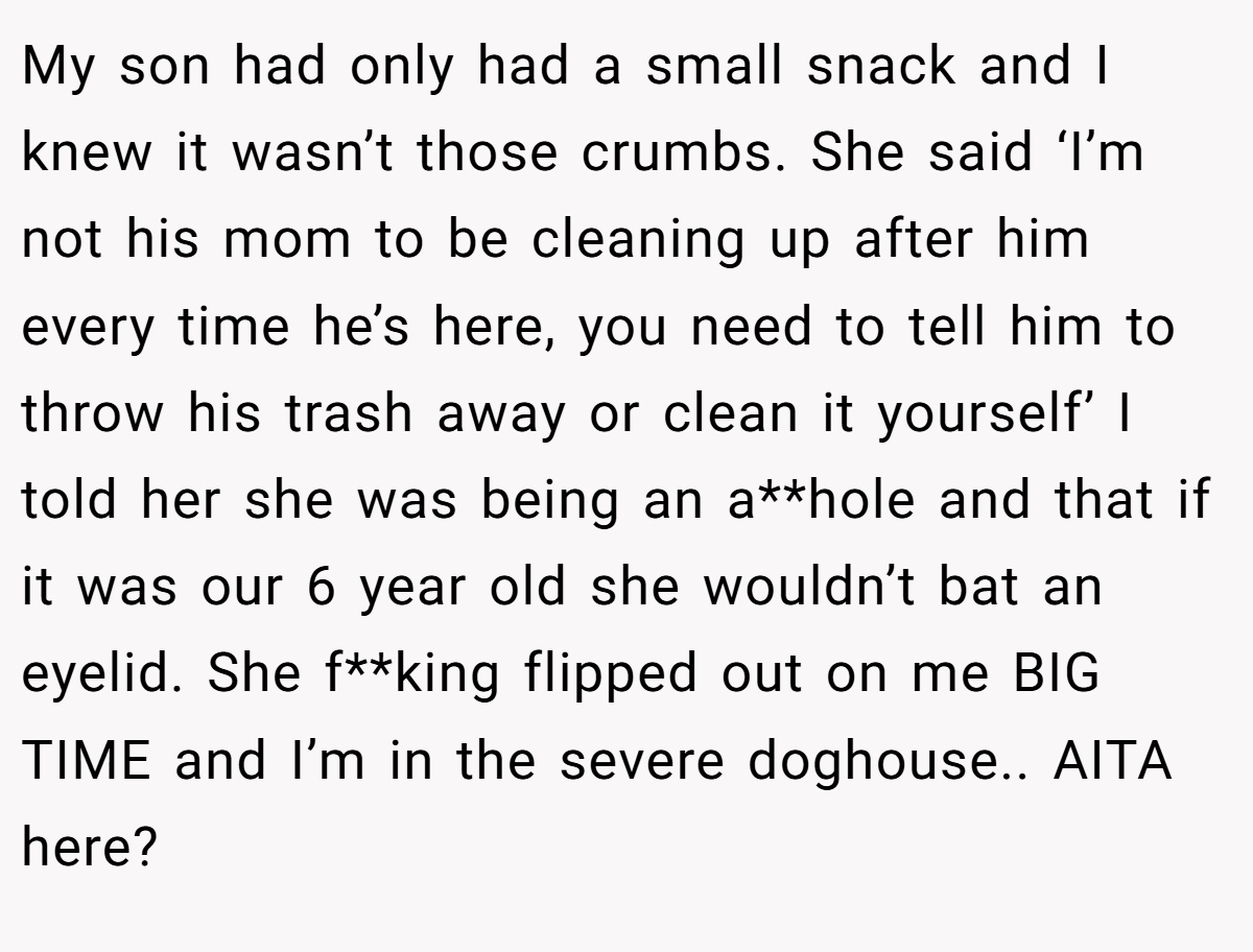 My son had only had a small snack and I knew it wasn’t those crumbs. She said ‘I’m not his mom to be cleaning up after him every time he’s here, you need to tell him to throw his trash away or clean it yourself’ I told her she was being an a**hole and that if it was our 6 year old she wouldn’t bat an eyelid. She f**king flipped out on me BIG TIME and I’m in the severe doghouse.. AITA here?
