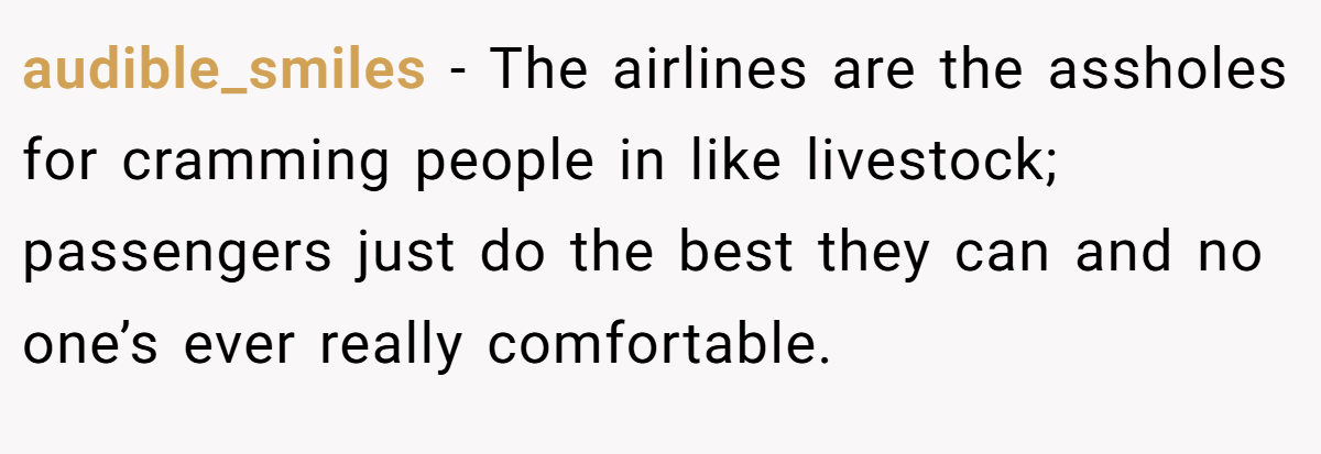 audible_smiles - The airlines are the assholes for cramming people in like livestock; passengers just do the best they can and no one’s ever really comfortable.