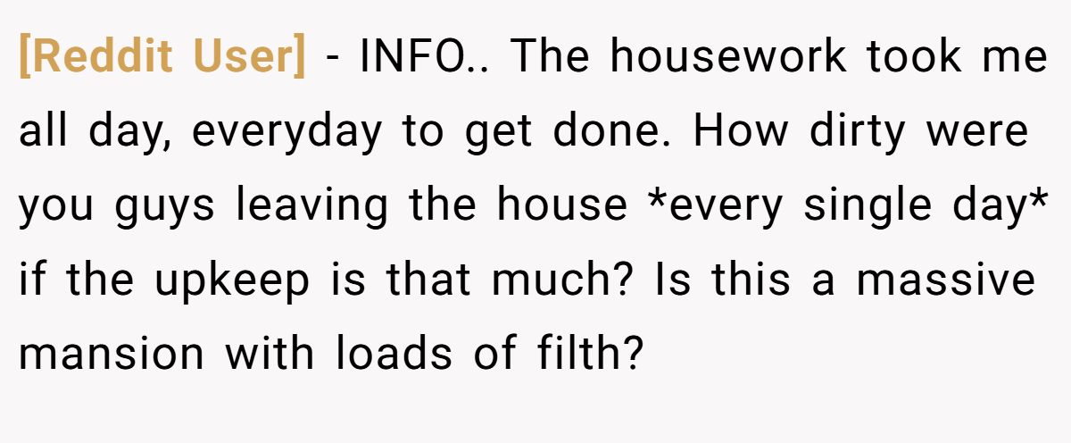 [Reddit User] − INFO.. The housework took me all day, everyday to get done. How dirty were you guys leaving the house *every single day* if the upkeep is that much? Is this a massive mansion with loads of filth?