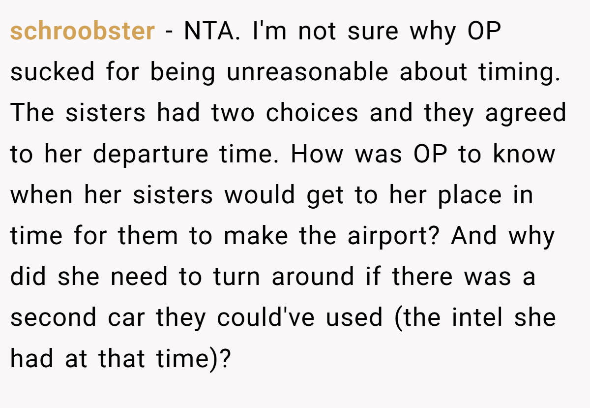 schroobster − NTA. I'm not sure why OP sucked for being unreasonable about timing. The sisters had two choices and they agreed to her departure time. How was OP to know when her sisters would get to her place in time for them to make the airport? And why did she need to turn around if there was a second car they could've used (the intel she had at that time)?