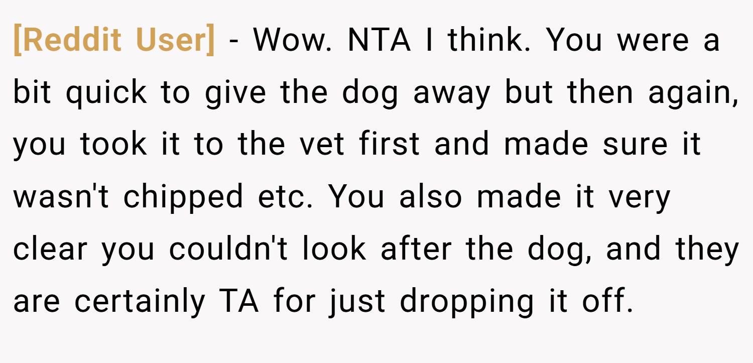 [Reddit User] − Wow. NTA I think. You were a bit quick to give the dog away but then again, you took it to the vet first and made sure it wasn't chipped etc. You also made it very clear you couldn't look after the dog, and they are certainly TA for just dropping it off.