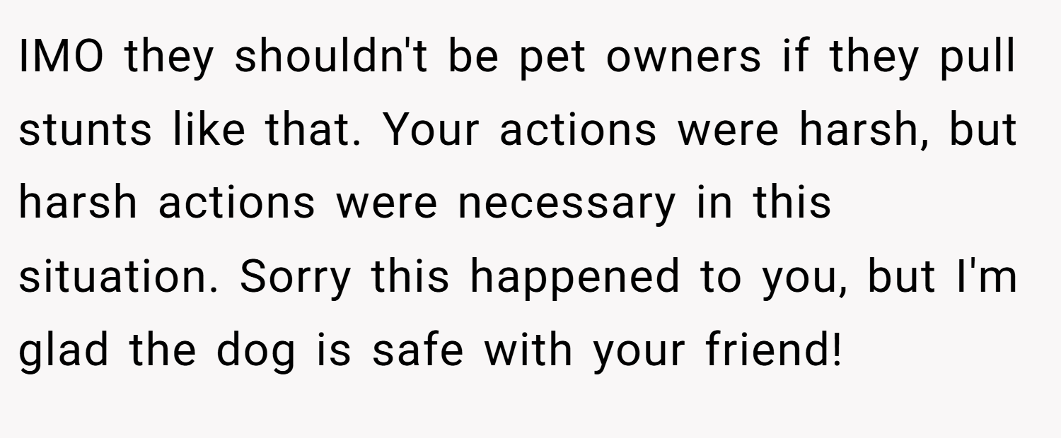 IMO they shouldn't be pet owners if they pull stunts like that. Your actions were harsh, but harsh actions were necessary in this situation. Sorry this happened to you, but I'm glad the dog is safe with your friend!