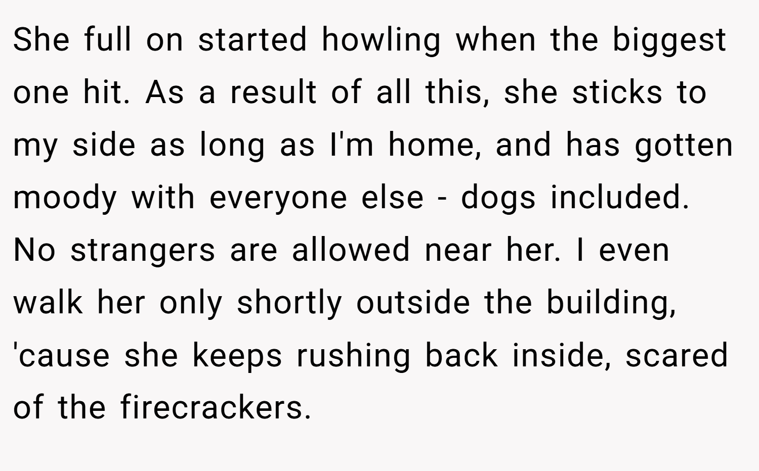 She full on started howling when the biggest one hit. As a result of all this, she sticks to my side as long as I'm home, and has gotten moody with everyone else - dogs included. No strangers are allowed near her. I even walk her only shortly outside the building, 'cause she keeps rushing back inside, scared of the firecrackers.