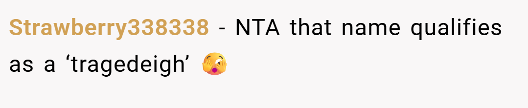 Strawberry338338 − NTA that name qualifies as a ‘tragedeigh’ 🫣