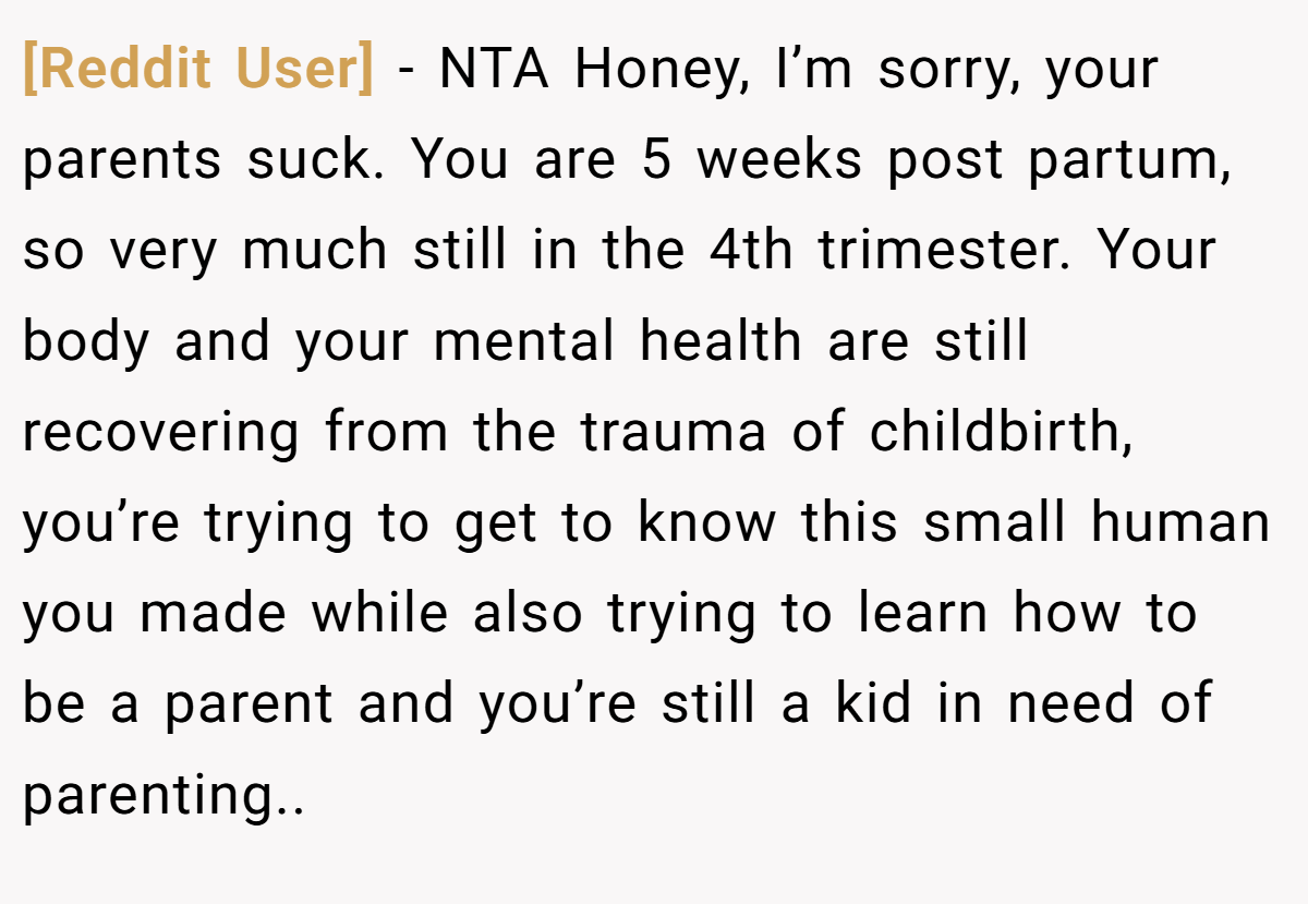 [Reddit User] − NTA Honey, I’m sorry, your parents suck. You are 5 weeks post partum, so very much still in the 4th trimester. Your body and your mental health are still recovering from the trauma of childbirth, you’re trying to get to know this small human you made while also trying to learn how to be a parent and you’re still a kid in need of parenting..