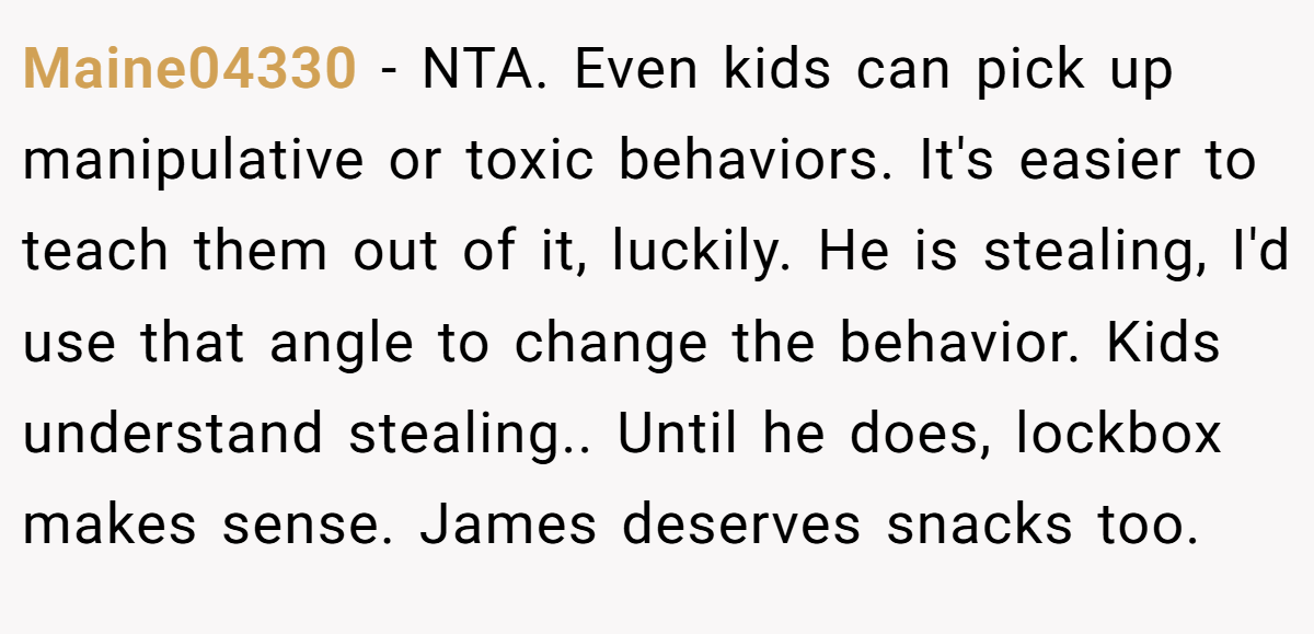 Maine04330 − NTA. Even kids can pick up manipulative or toxic behaviors. It's easier to teach them out of it, luckily. He is stealing, I'd use that angle to change the behavior. Kids understand stealing.. Until he does, lockbox makes sense. James deserves snacks too.