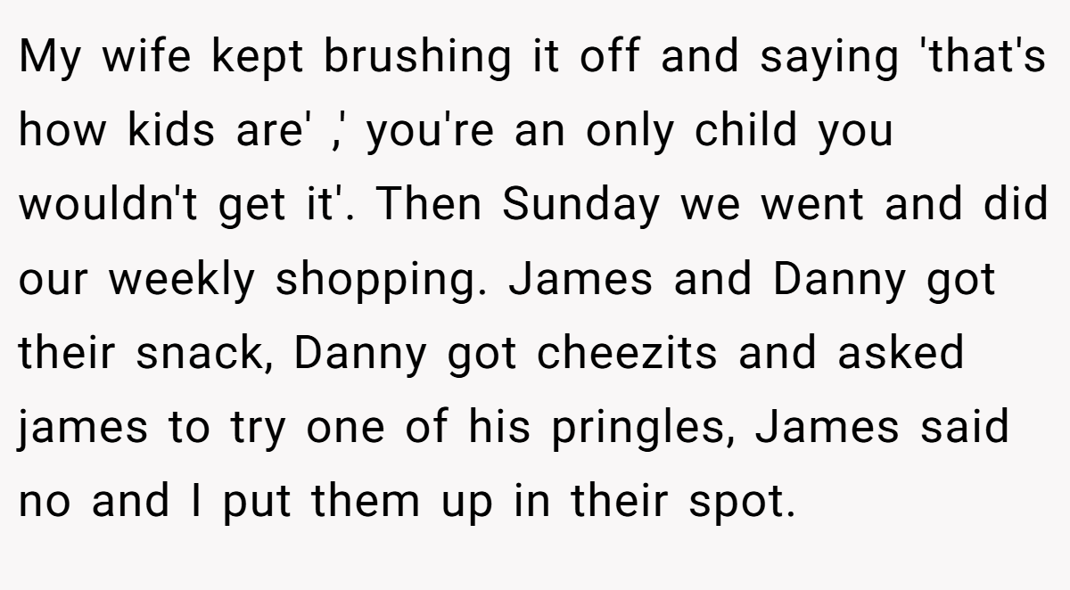 My wife kept brushing it off and saying 'that's how kids are' ,' you're an only child you wouldn't get it'. Then Sunday we went and did our weekly shopping. James and Danny got their snack, Danny got cheezits and asked james to try one of his pringles, James said no and I put them up in their spot.