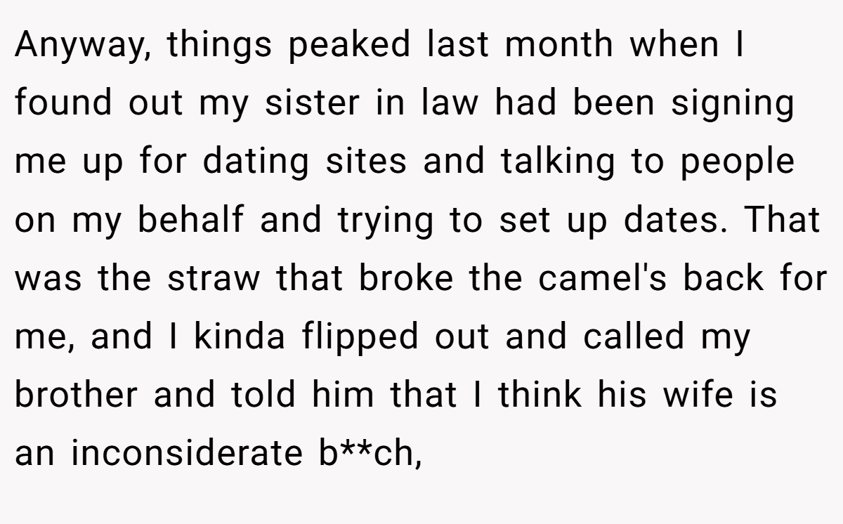 Anyway, things peaked last month when I found out my sister in law had been signing me up for dating sites and talking to people on my behalf and trying to set up dates. That was the straw that broke the camel's back for me, and I kinda flipped out and called my brother and told him that I think his wife is an inconsiderate b**ch,