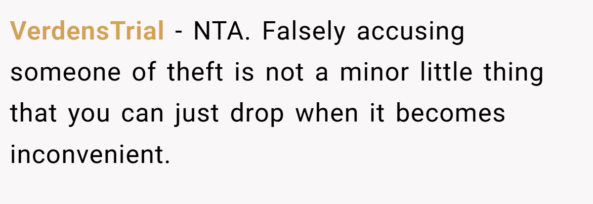 VerdensTrial − NTA. Falsely accusing someone of theft is not a minor little thing that you can just drop when it becomes inconvenient.