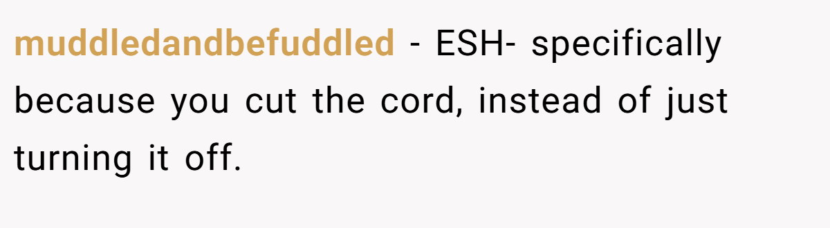 muddledandbefuddled − ESH- specifically because you cut the cord, instead of just turning it off.