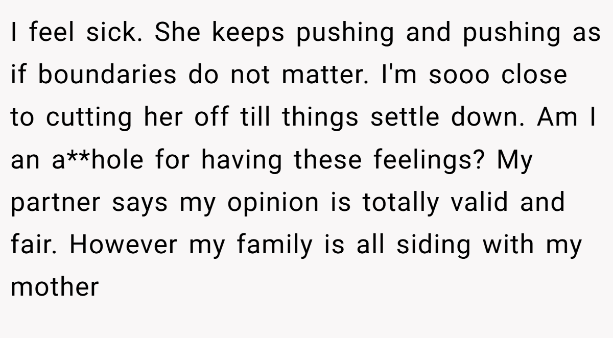 I feel sick. She keeps pushing and pushing as if boundaries do not matter. I'm sooo close to cutting her off till things settle down. Am I an a**hole for having these feelings? My partner says my opinion is totally valid and fair. However my family is all siding with my mother