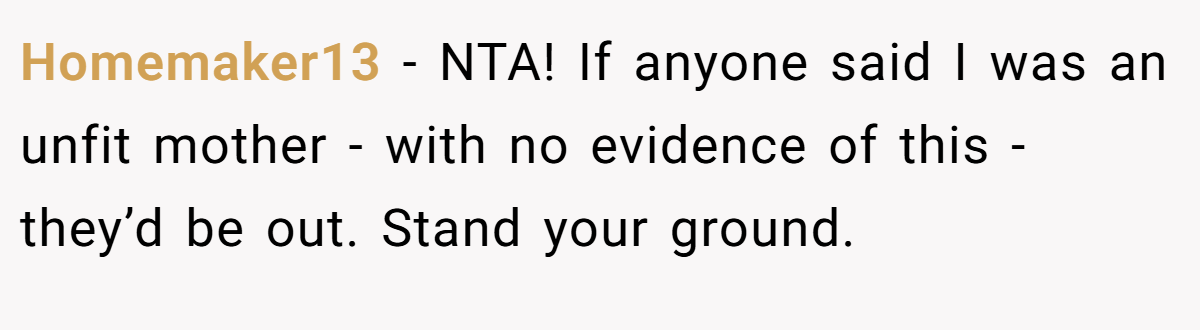 Homemaker13 − NTA! If anyone said I was an unfit mother - with no evidence of this - they’d be out. Stand your ground.