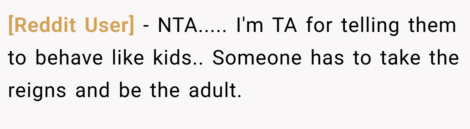[Reddit User] − NTA..... I'm TA for telling them to behave like kids.. Someone has to take the reigns and be the adult.