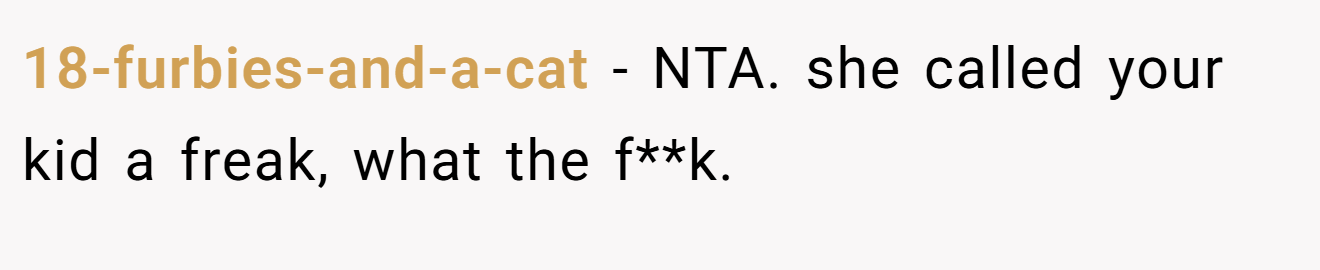 18-furbies-and-a-cat - NTA. she called your kid a freak, what the f**k.