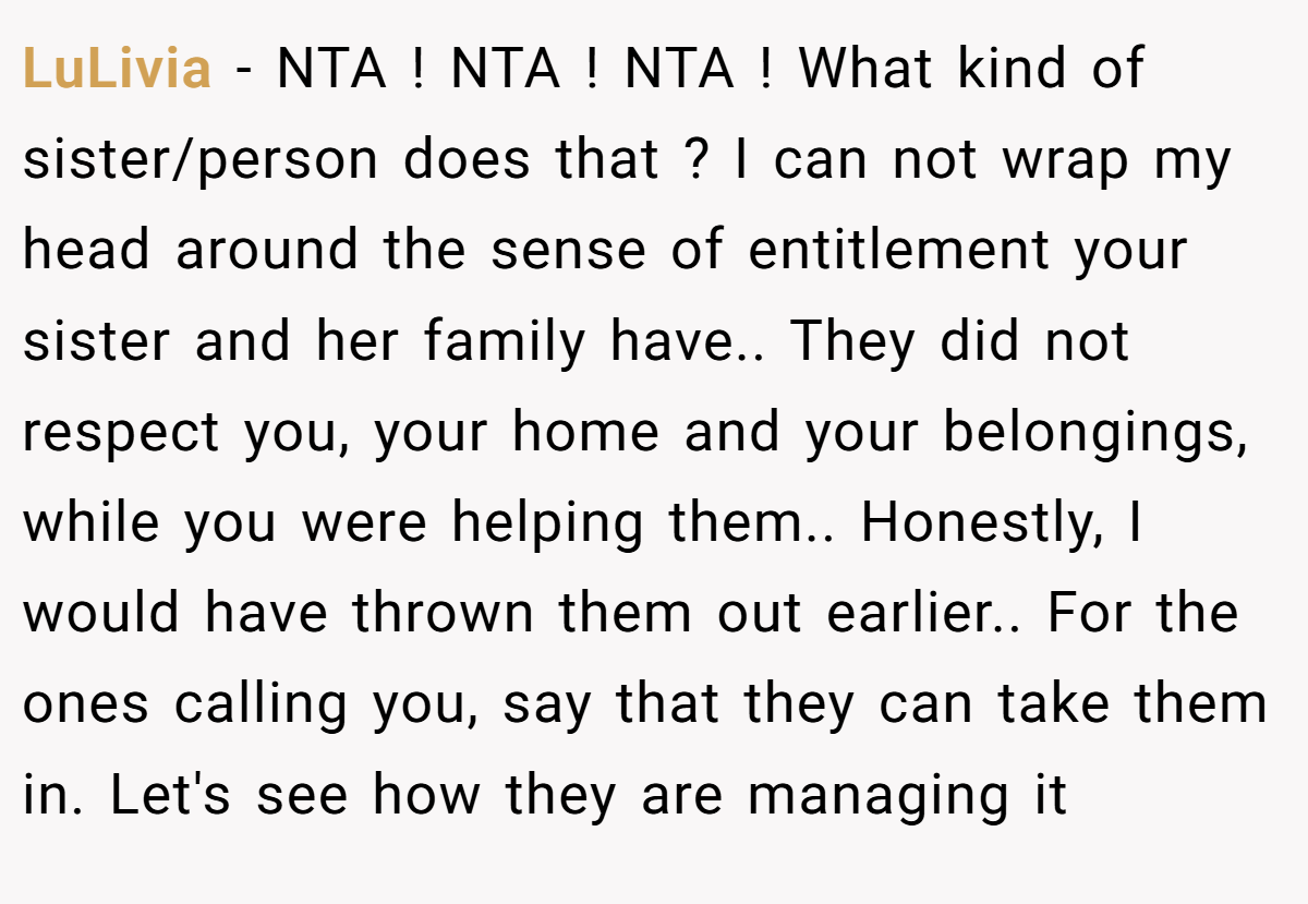 LuLivia − NTA ! NTA ! NTA ! What kind of sister/person does that ? I can not wrap my head around the sense of entitlement your sister and her family have.. They did not respect you, your home and your belongings, while you were helping them.. Honestly, I would have thrown them out earlier.. For the ones calling you, say that they can take them in. Let's see how they are managing it