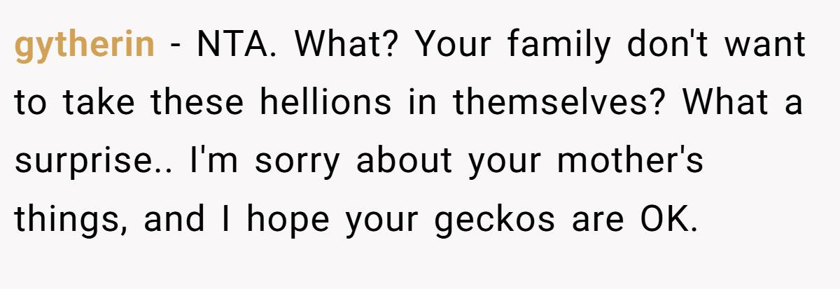 gytherin − NTA. What? Your family don't want to take these hellions in themselves? What a surprise.. I'm sorry about your mother's things, and I hope your geckos are OK.