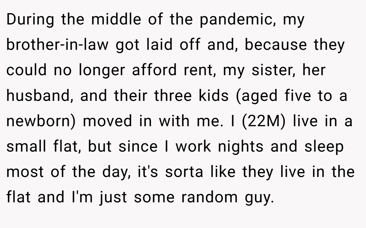 During the middle of the pandemic, my brother-in-law got laid off and, because they could no longer afford rent, my sister, her husband, and their three kids (aged five to a newborn) moved in with me. I (22M) live in a small flat, but since I work nights and sleep most of the day, it's sorta like they live in the flat and I'm just some random guy.