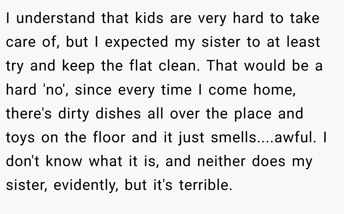 I understand that kids are very hard to take care of, but I expected my sister to at least try and keep the flat clean. That would be a hard 'no', since every time I come home, there's dirty dishes all over the place and toys on the floor and it just smells....awful. I don't know what it is, and neither does my sister, evidently, but it's terrible.